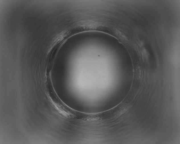 X0000053010638200507081300