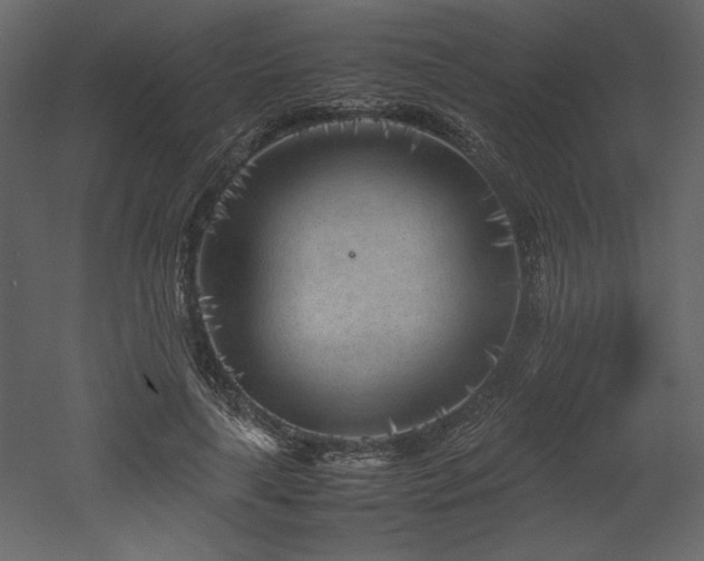 X0000053010643200507081301