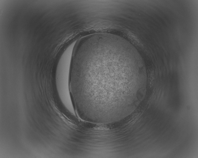 X0000053010644200507081301