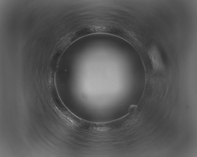 X0000053010645200507081301