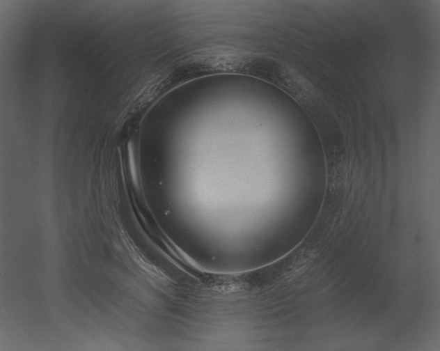 X0000053010646200507081301