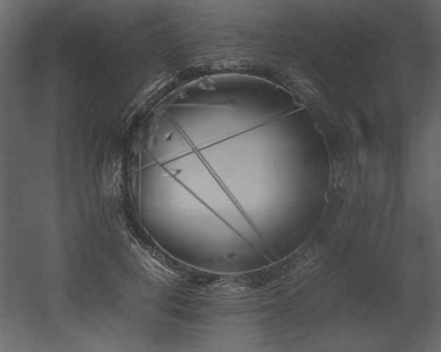 X0000053010648200507081301