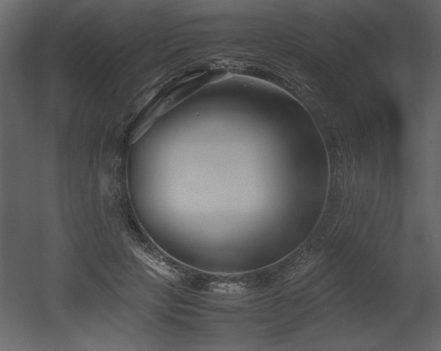 X0000053010649200507081301