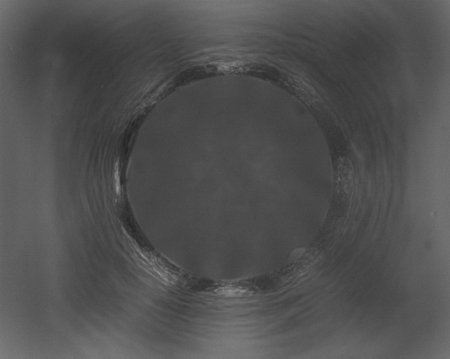 X0000053010650200507081301