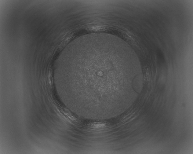 X0000053010651200507081301