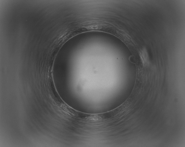 X0000053010652200507081301