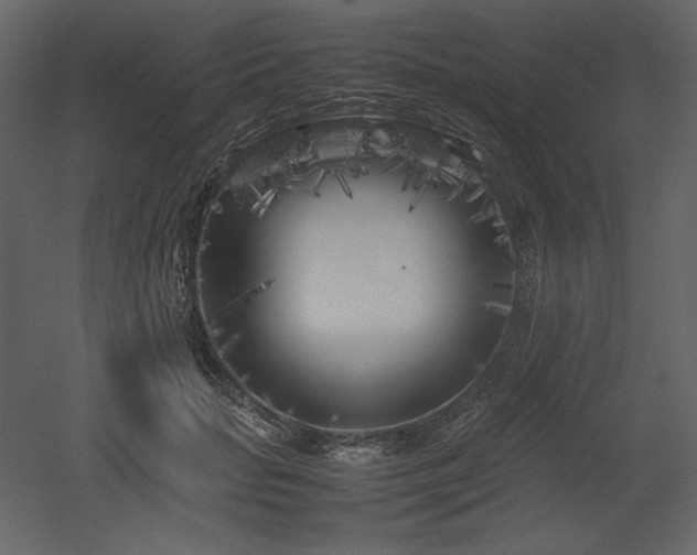 X0000053010653200507081301