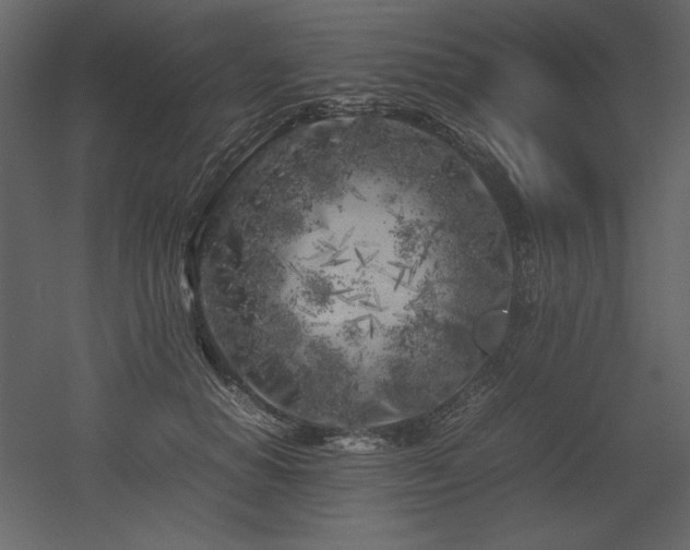 X0000053010654200507081301