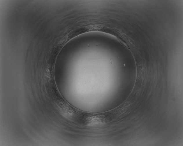 X0000053010655200507081301