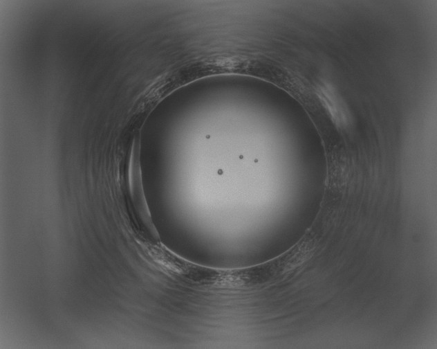 X0000053010656200507081301