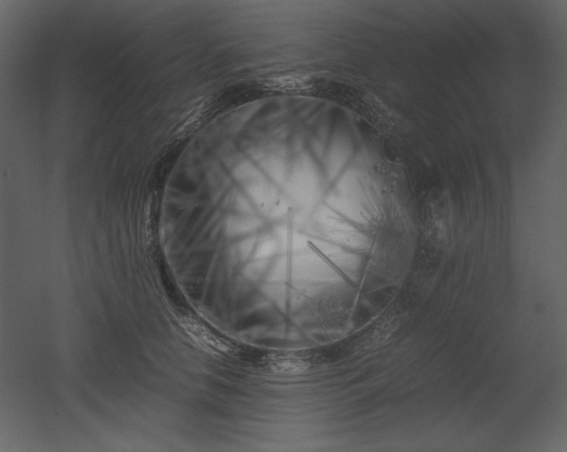 X0000053010658200507081301