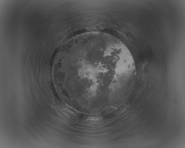 X0000053010659200507081301
