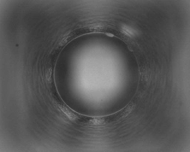 X0000053010660200507081301
