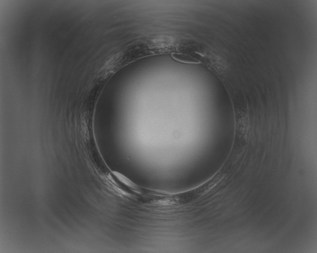 X0000053010662200507081301