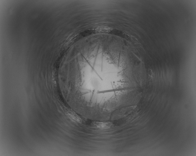 X0000053010663200507081301