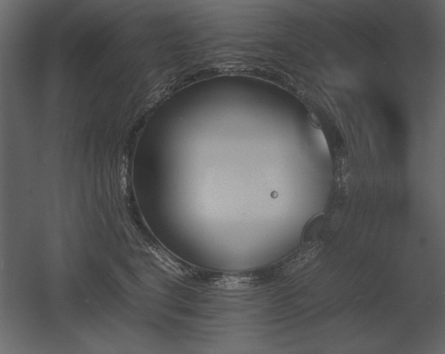 X0000053010664200507081301