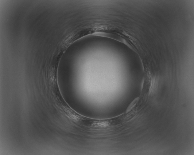 X0000053010665200507081301