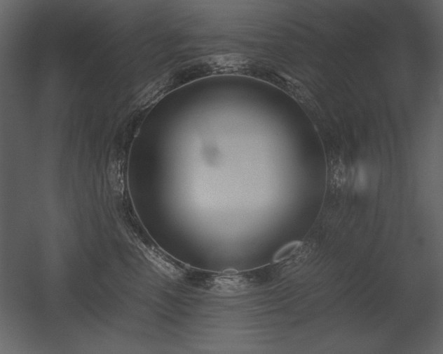 X0000053010666200507081301