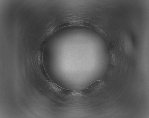 X0000053010668200507081301