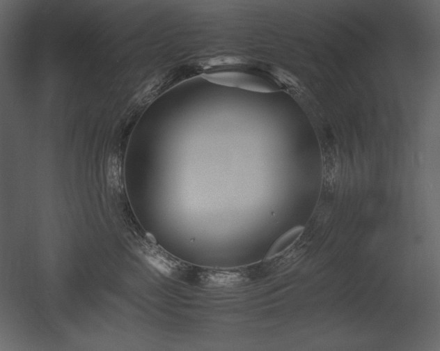 X0000053010669200507081301