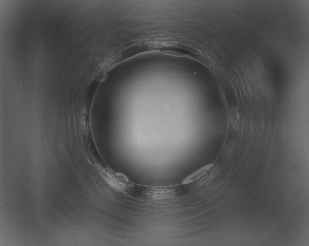 X0000053010670200507081301