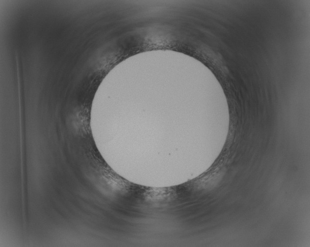 X0000053010672200507081301