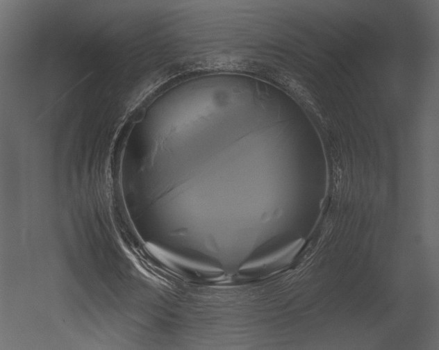 X0000053010674200507081300