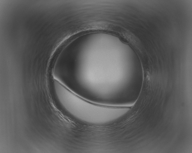 X0000053010676200507081300