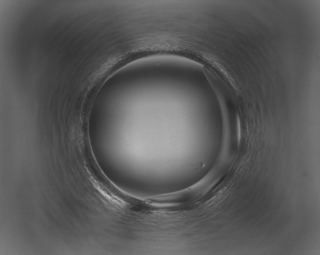 X0000053010677200507081300