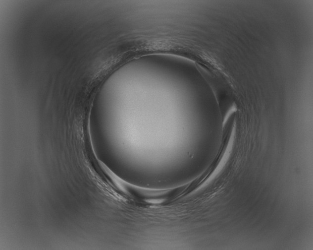 X0000053010681200507081300