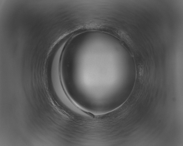 X0000053010684200507081300