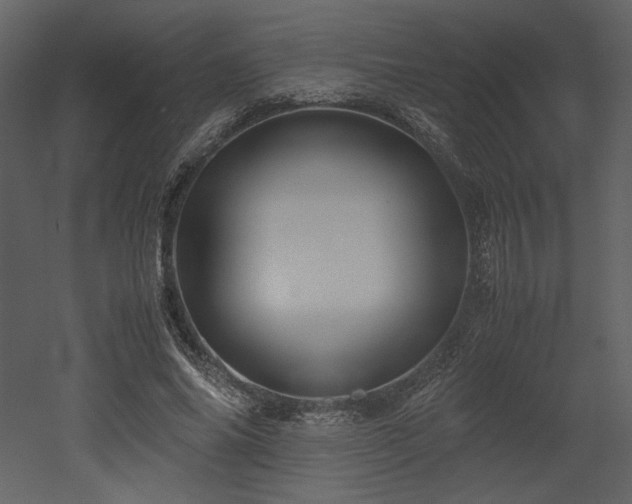 X0000053010686200507081300