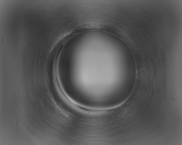 X0000053010688200507081300