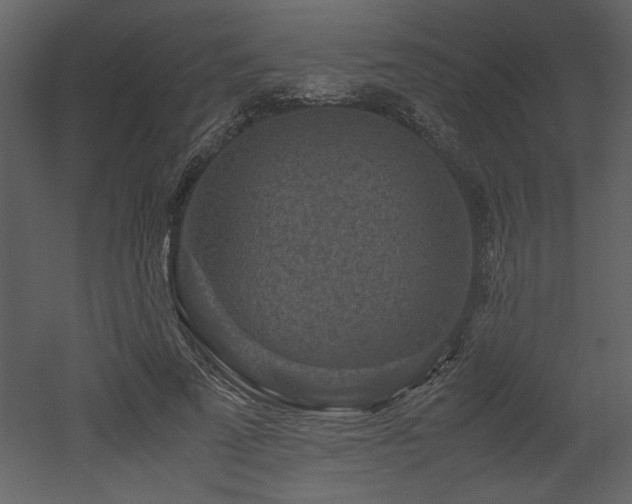 X0000053010689200507081300
