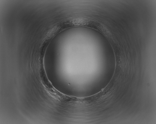 X0000053010690200507081300