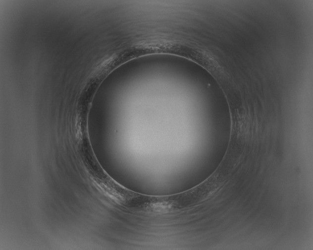 X0000053010692200507081300