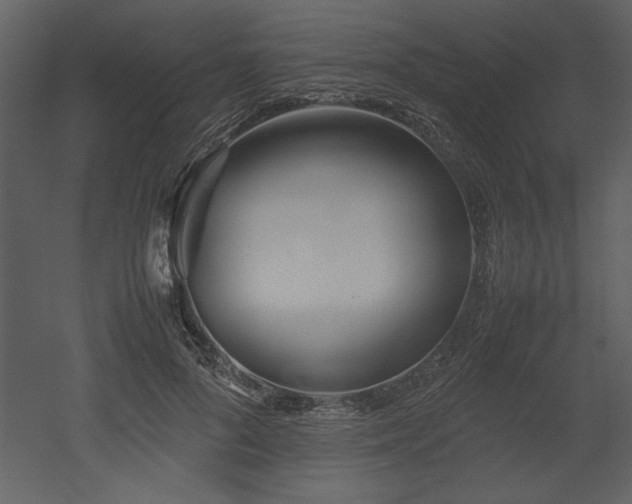 X0000053010696200507081300