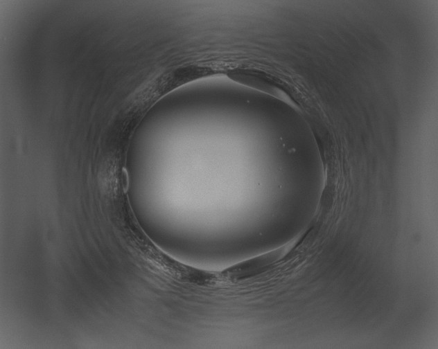 X0000053010697200507081300