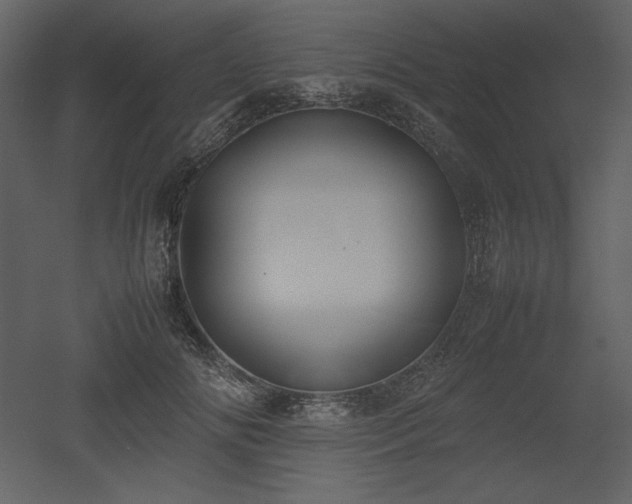 X0000053010702200507081300