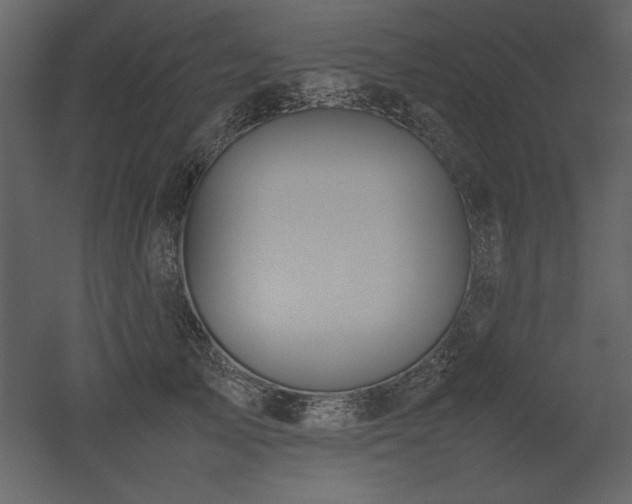 X0000053010705200507081300