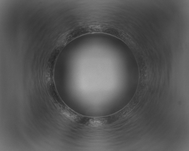 X0000053010706200507081300