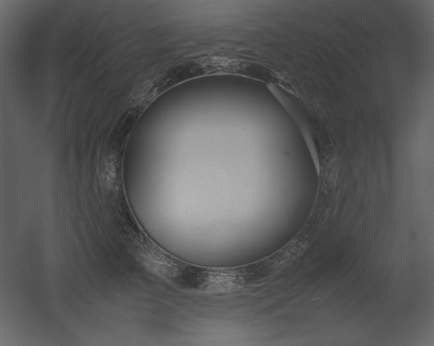 X0000053010709200507081300