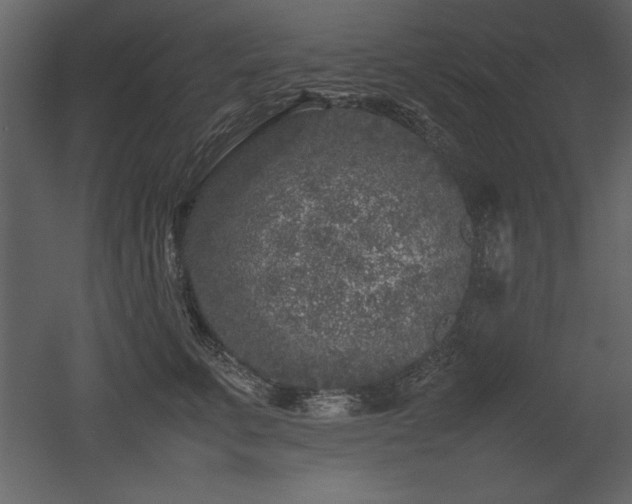 X0000053010711200507081300