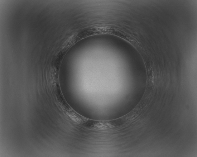 X0000053010712200507081300