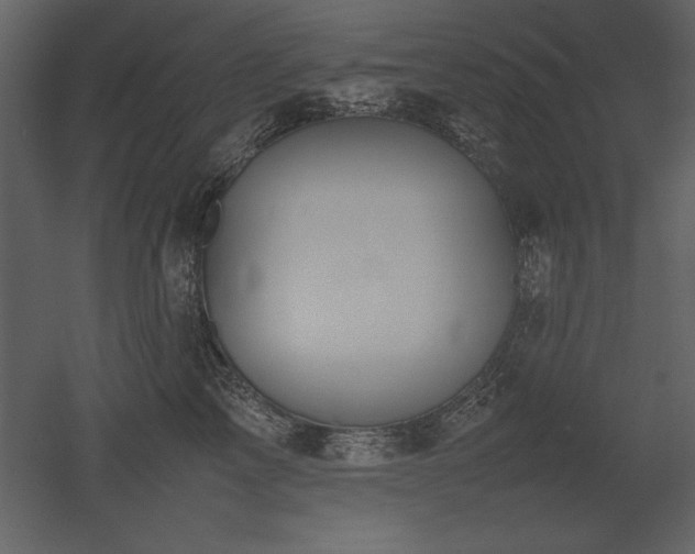 X0000053010713200507081259
