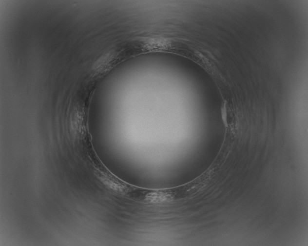 X0000053010714200507081259