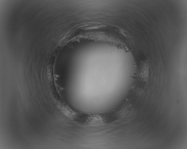 X0000053010715200507081259