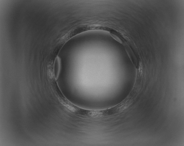 X0000053010719200507081259