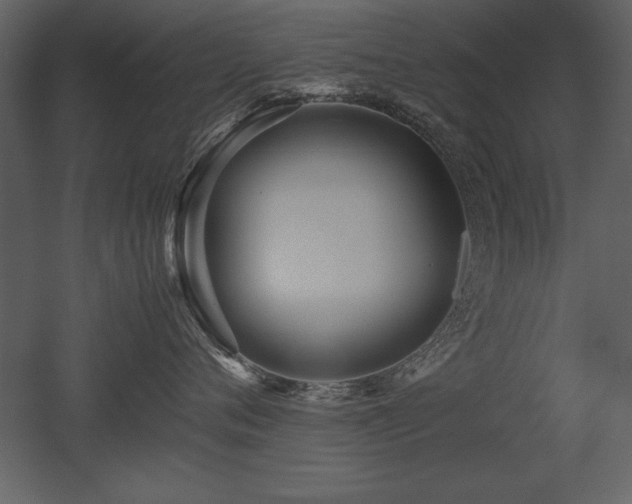 X0000053010720200507081259