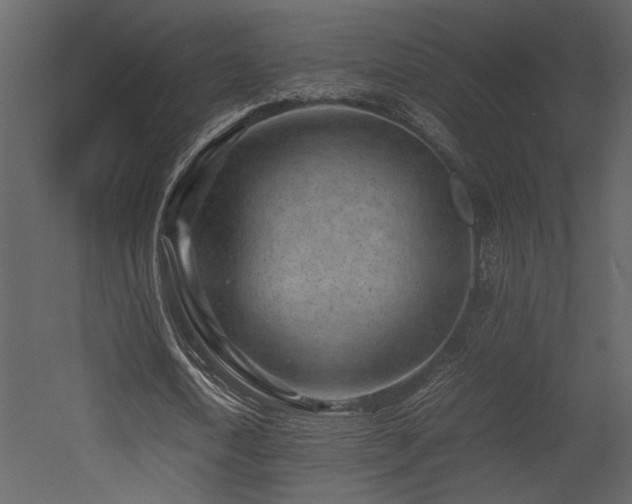 X0000053010722200507081259